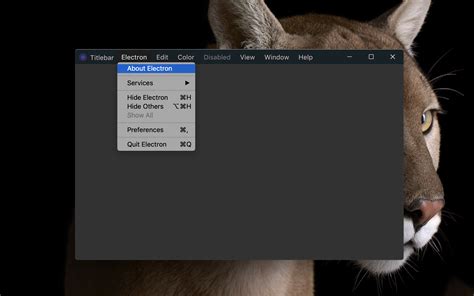 custom electron titlebar